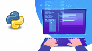 python online training