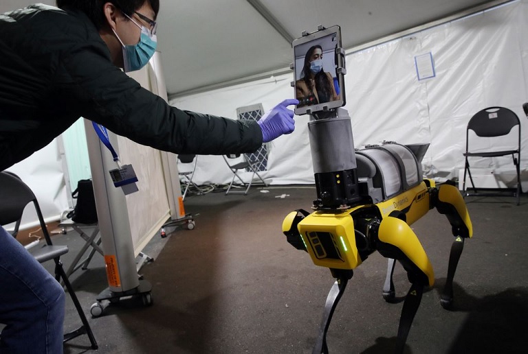 Dr. Spot The Robot Dog Now Checking COVID-19 Patients
