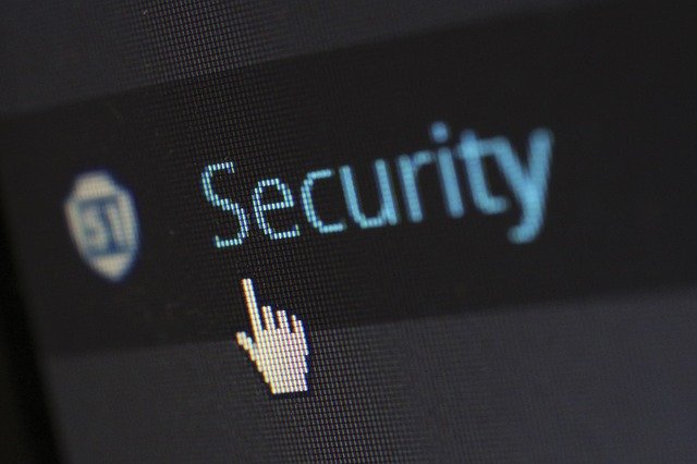 Purpose of the Visitor Pass Management System