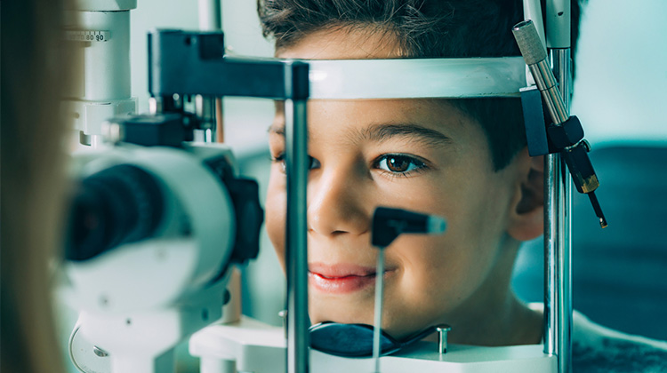 Ophthalmology - An All-Encompassing Medical Study About The Eye