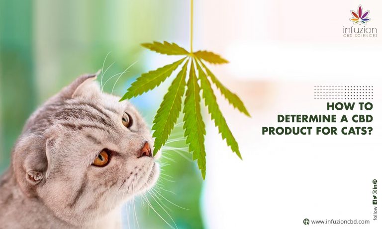 How to Determine a Hemp Product for Cats?