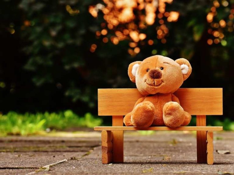 What is the best teddy bear